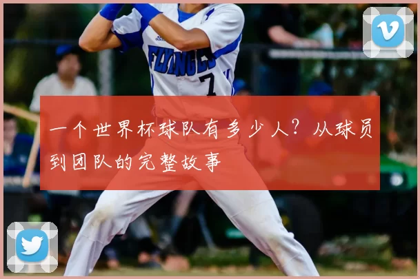 一个世界杯球队有多少人?从球员到团队的完整故事