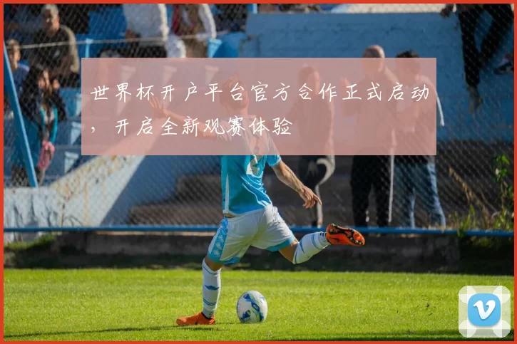 世界杯开户平台官方合作正式启动，开启全新观赛体验
