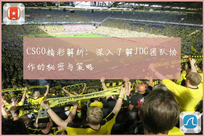 CSGO精彩解析：深入了解JDG团队协作的秘密与策略