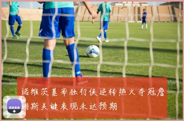 诺维茨基率独行侠逆转热火夺冠詹姆斯关键表现未达预期