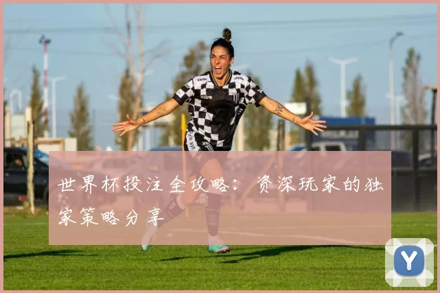 世界杯投注全攻略：资深玩家的独家策略分享
