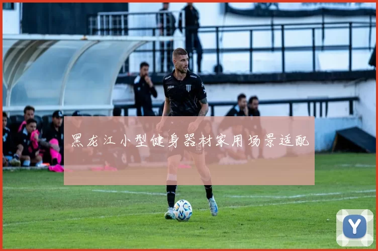 黑龙江小型健身器材家用场景适配