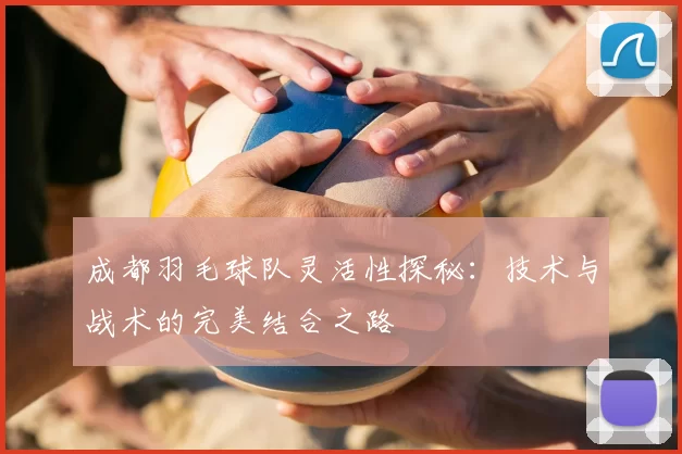 成都羽毛球队灵活性探秘:技术与战术的完美结合之路