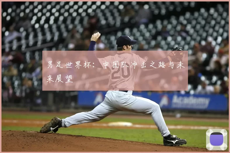 男足世界杯：中国队冲击之路与未来展望