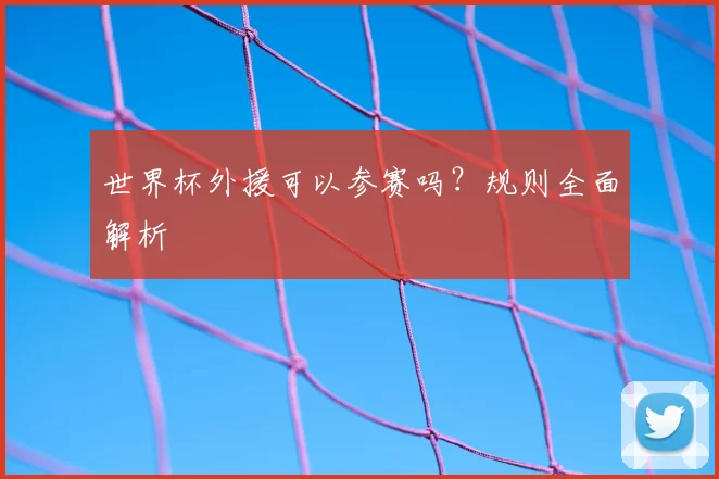 世界杯外援可以参赛吗？规则全面解析