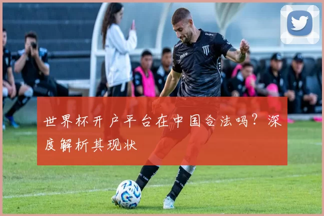 世界杯开户平台在中国合法吗？深度解析其现状