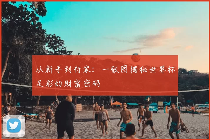 从新手到行家：一张图揭秘世界杯足彩的财富密码