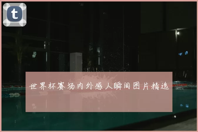 世界杯赛场内外感人瞬间图片精选
