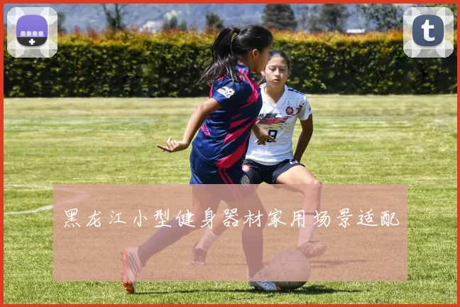 黑龙江小型健身器材家用场景适配