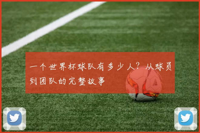 一个世界杯球队有多少人?从球员到团队的完整故事