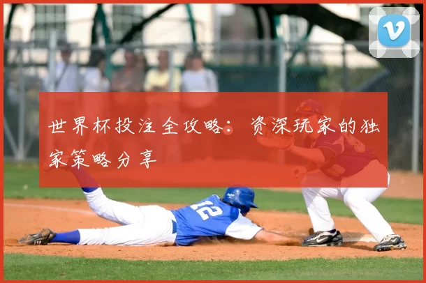世界杯投注全攻略：资深玩家的独家策略分享