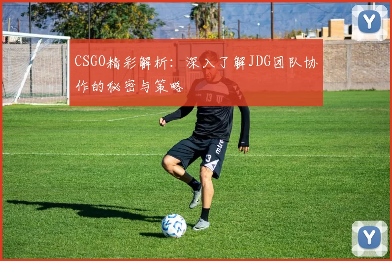 CSGO精彩解析：深入了解JDG团队协作的秘密与策略